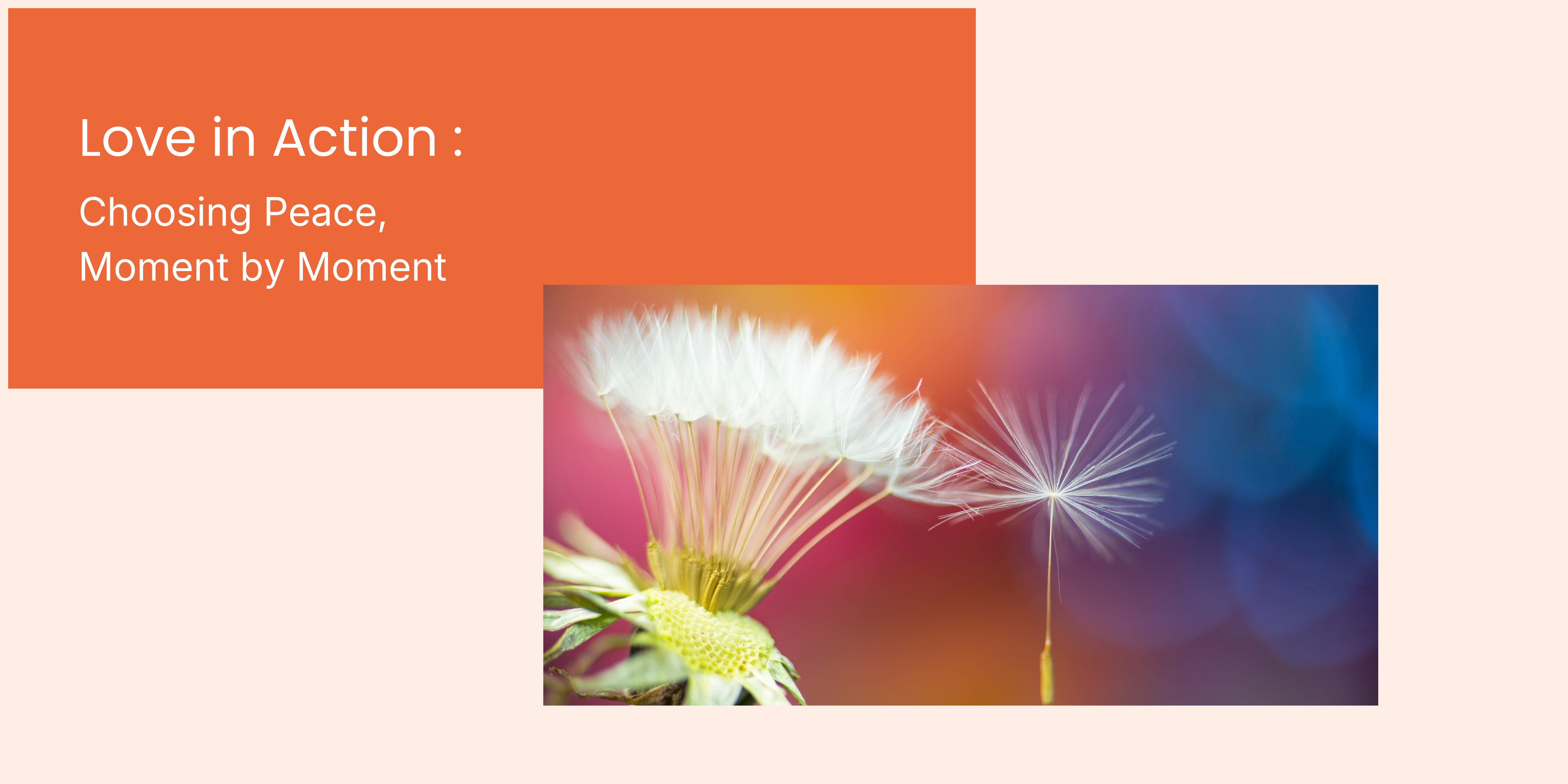 Love in Action: Choosing Peace, Moment by Moment course banner
