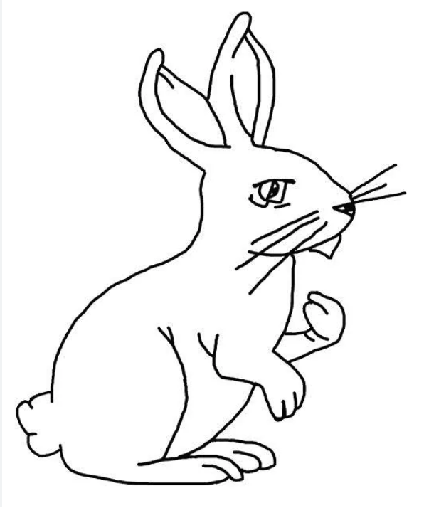 image-20260508114519-1.png